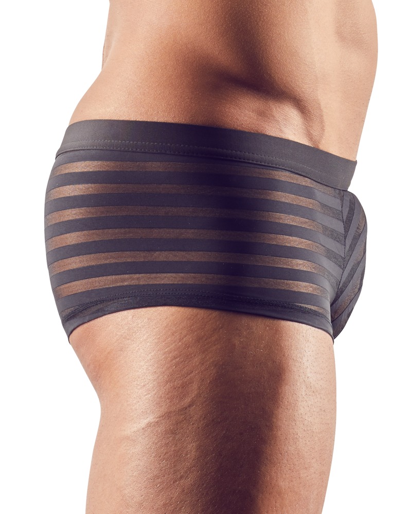 Svenjoyment Underwear - Short - Gaas - Transparant - Banen Patroon - Zwart - Afbeelding 3