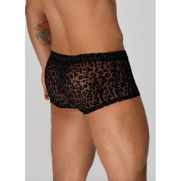 Noir Handmade - H072 - Short - Luipaard - Gaas - Zwart - Afbeelding 3
