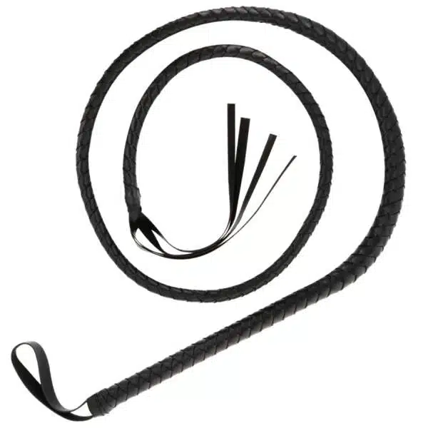 Long Whip - Darkness