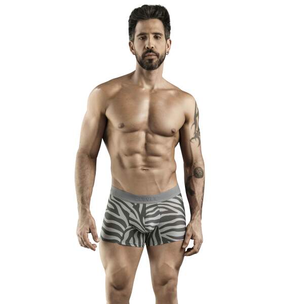 Clever Moda - Cebra - Boxershort - Microvezel - Grijs - Afbeelding 3