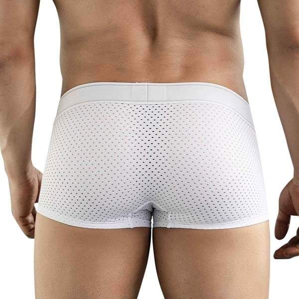 Clever Moda - Ambar - Boxershort - Mesh - Microvezel - Wit - Afbeelding 5