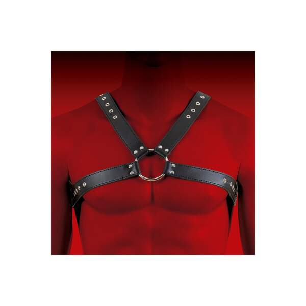 Virgite Harnas 1 ring front
